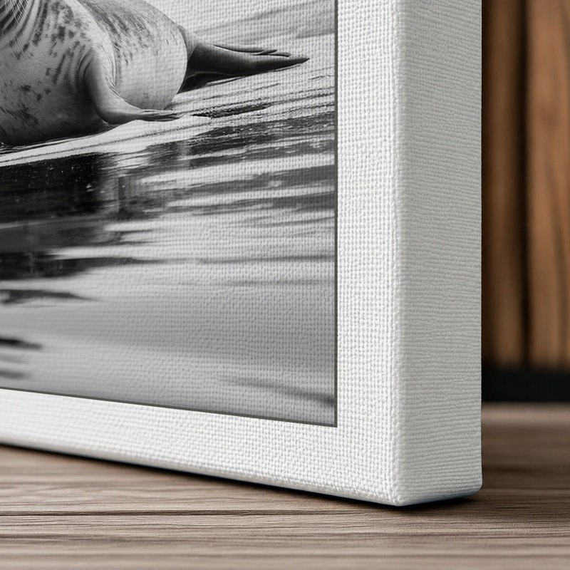 Print, 18x12 - 45.7 x 30.5 cm, White Border