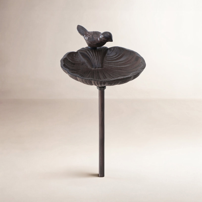 Aleana Metal Scallop Birdbath