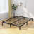 Kremmling 10" Platform Bed-1664134424