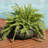 Ascend 20.75" x 20.75" x 11.5" Round Polyresin Outdoor Planter Pot - Sable-1666207541-1681005779-1681005776