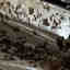 Photos des clients 1 de 3