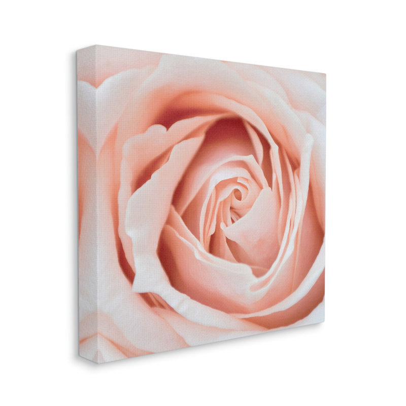 Rose sur fond rose sur bois par LSR Design Studio, H 17 po x l 17 po x P 1,5 po, Cadre blanc