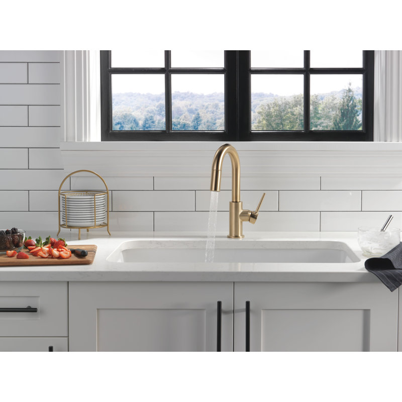 Robinet de lavabo à barre en or brossé Trinsic avec douchette rétractable, robinet de préparation de lavabo monotrou moderne, poignée simple, bronze champagne