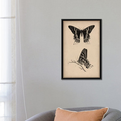 Art animalier, papillon rétro, impression sur toile tendue