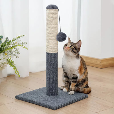 Sedley 55 cm H Cat Scratchers