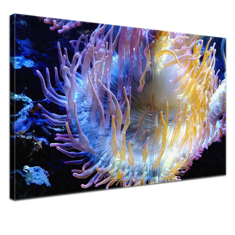 Print on Canvas, 100cm H x 150cm W x 2cm D