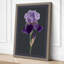 Iris in Lavender Botanical - Wrapped Canvas-171899084-171899096
