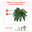Faux Fern Plant-6104197