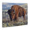 Art mural sur toile Prairie King Bison par © David Graham
