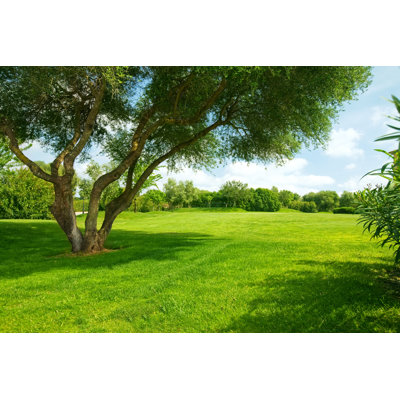 Landscape by Nikada - No Frame Art Prints on Canvas
