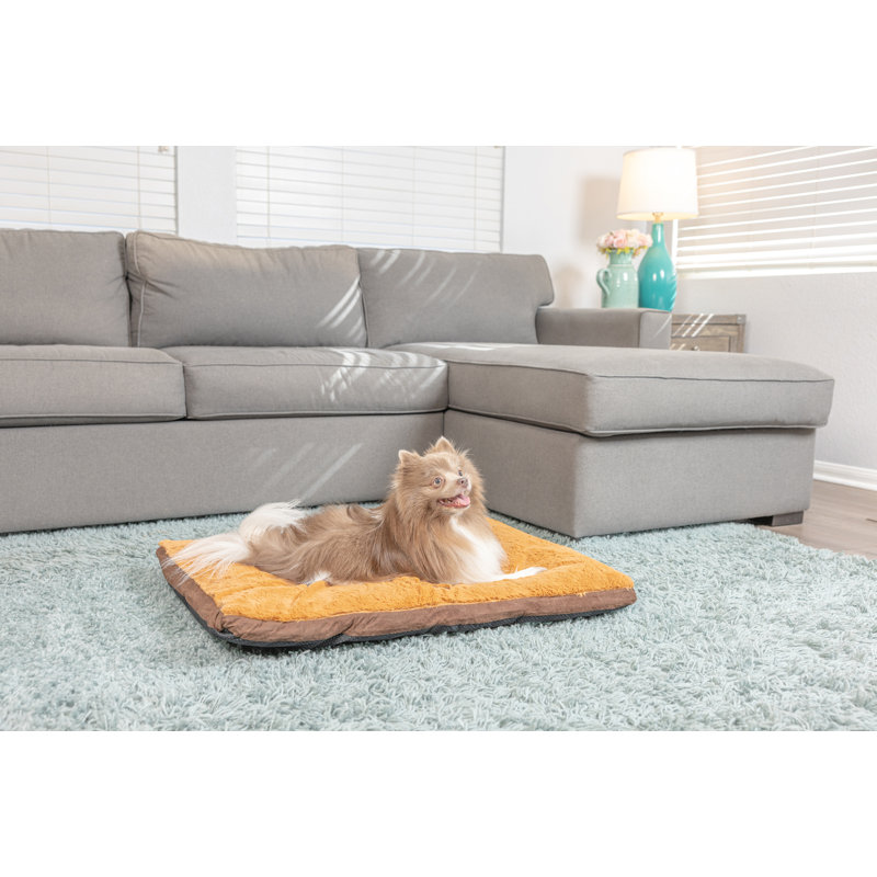 Medium Mocha and Earth Brown Faux Suede Orthopedic Pet Bed