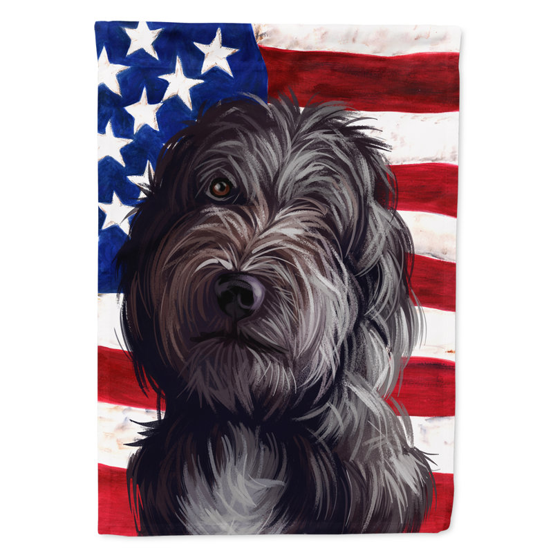 Polyester à 2 côtés 28 x 40 po drapeau maison, Lagotto Romagnolo