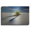 «Dune» par Dennis Frates-2036126239