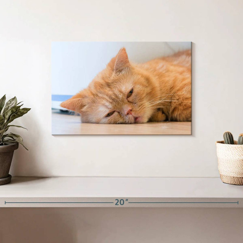 Crowle Sleeping Cat, 8" H x 12" W