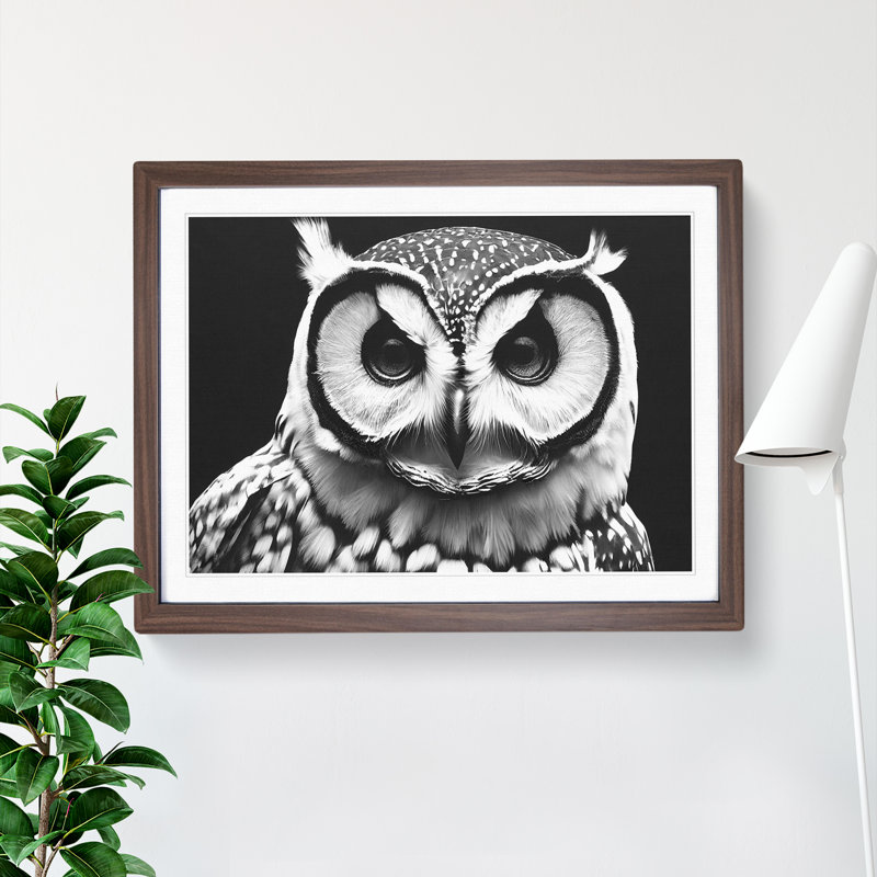 XH1022-6551X Owl Portrait Monochrome Vol.3 - Single Picture Frame Print, 46cm H x 64cm W x 2cm D, Walnut