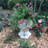 Muggly's Aunt Minnie Face Statue Planter-1818895143-1818895141