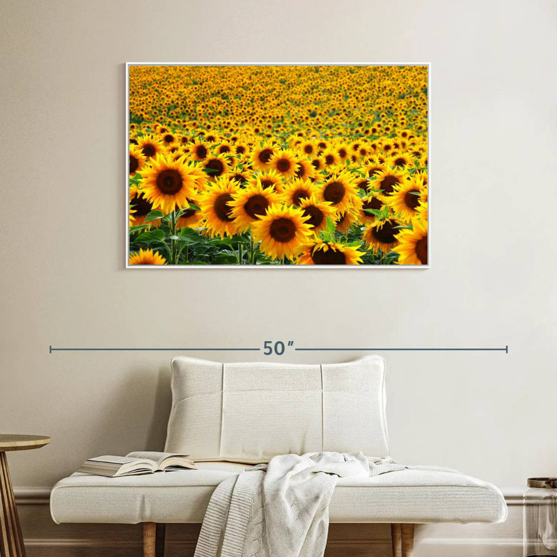 Champ de tournesols sans fin, Cadre flottant blanc, 40 po x 27 po