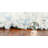 Ivory Area Rug-1211197463