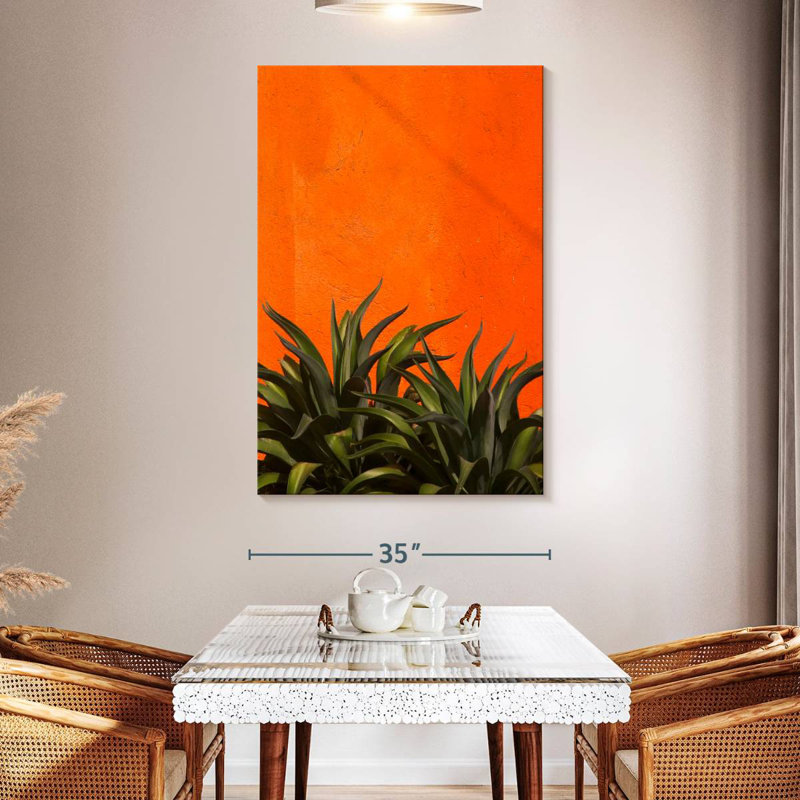 Harnek Agave, 51" H x 34" W
