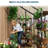 4x4FT Walk-in Polycarbonate Greenhouse for Outdoors – with Sliding Door, Adjustable Roof Vent & Gutter System, Portable Outdoor Green House Kit for Winter Gardening