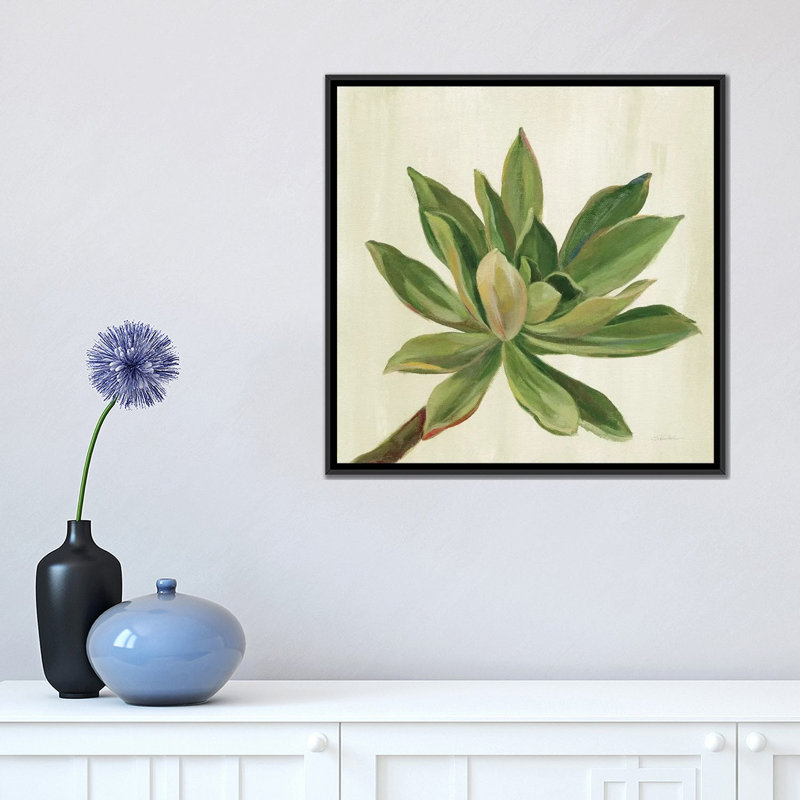Front Yard Succulent I by Silvia Vassileva - Painting, No Mat, 18" H x 18" W x 1.5" D, Black Framed