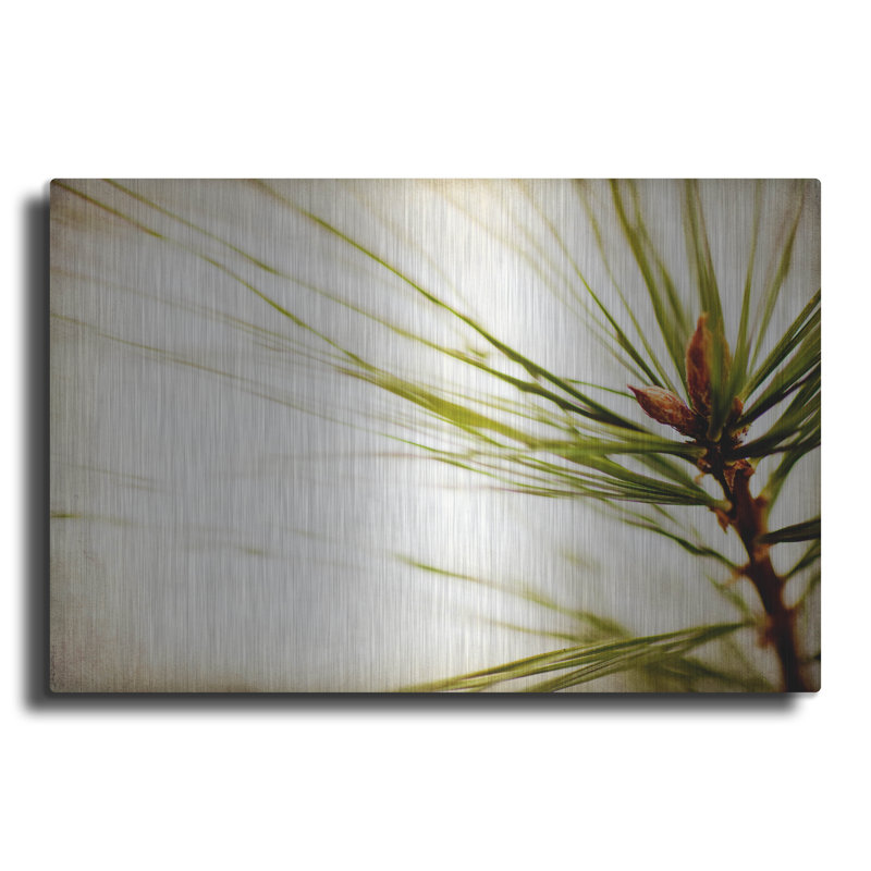 «Pine Needles» par Jessica Rogers, H 16 po x l 24 po