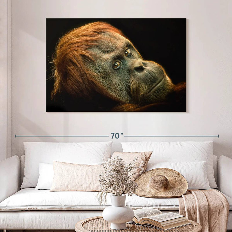 Brampt Dramatic Orangutan, 32" H x 48" W