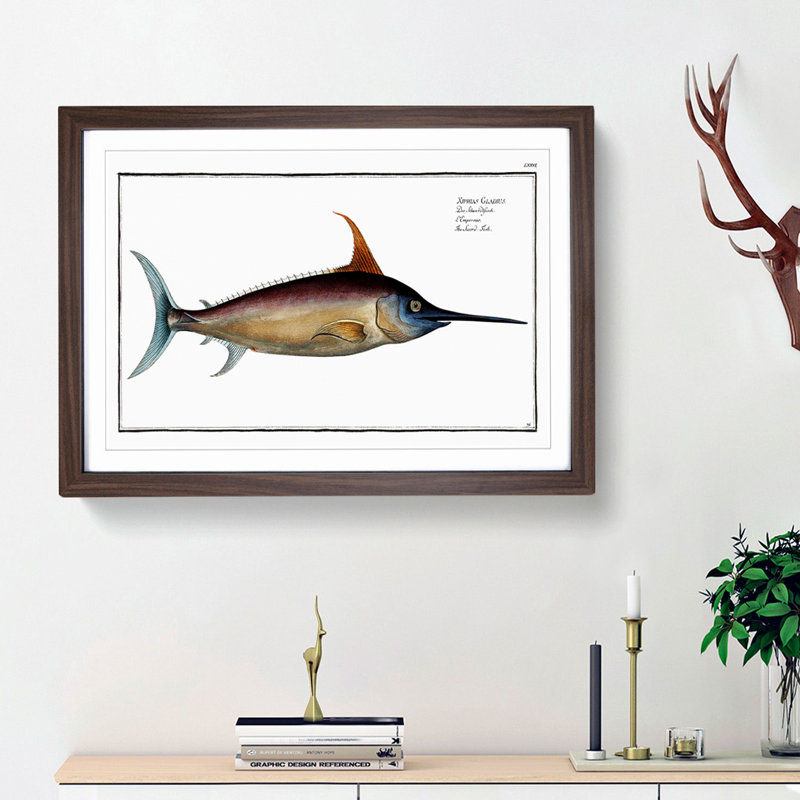 Swordfish - Picture Frame Art Prints, 48cm H x 65cm W x 2cm D, Walnut Framed