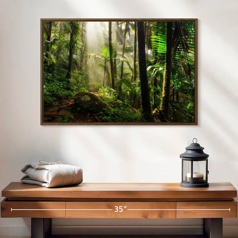 Forêt nationale d'El Yunque, 25 po x 17 po, Cadre flottant en noyer