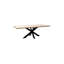 Avalon Stone Dining Table