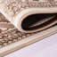 Oriental Indoor / Outdoor Area Rug-913228694