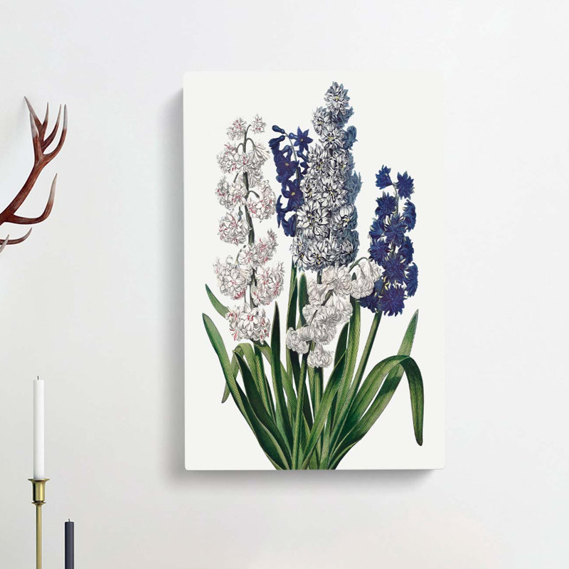Hyacinth Flowers by R.J. Thornton - Wrapped Canvas Painting, 50cm H x 35cm W x 3cm D