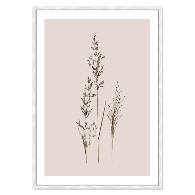 Delicate Stems I by Carol Robinson - Single Picture Frame Print -  Birch Lane™, 542741A8A1A94254BDF54CE0FF42DE96