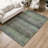 Machine Washable Indoor/Outdoor Chantille ACN2311 Stripes Rug-2065380417