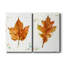 " Autumn Leaf Study I " 2 - Pieces-1052592101