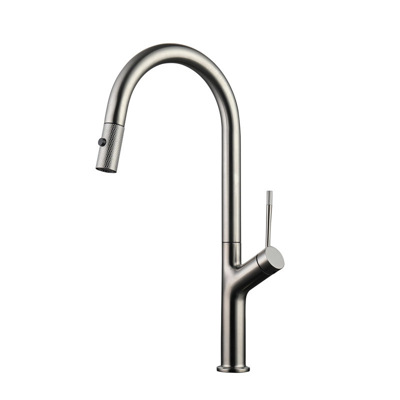 DAX Kitchen Faucet