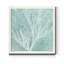 Algue sur le turquoise VII-impression sur papier encadrée-439827486-439827487-439872408
