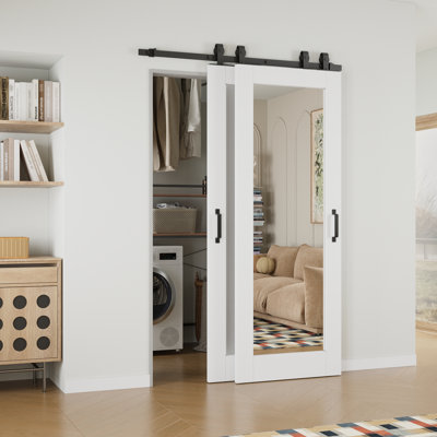 Porte de grange coulissante 80 po 1-Lite
