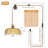Plug-in Pendant Light with Petal Glass Shade, Vintage Hanging Light with Cord-1158936268