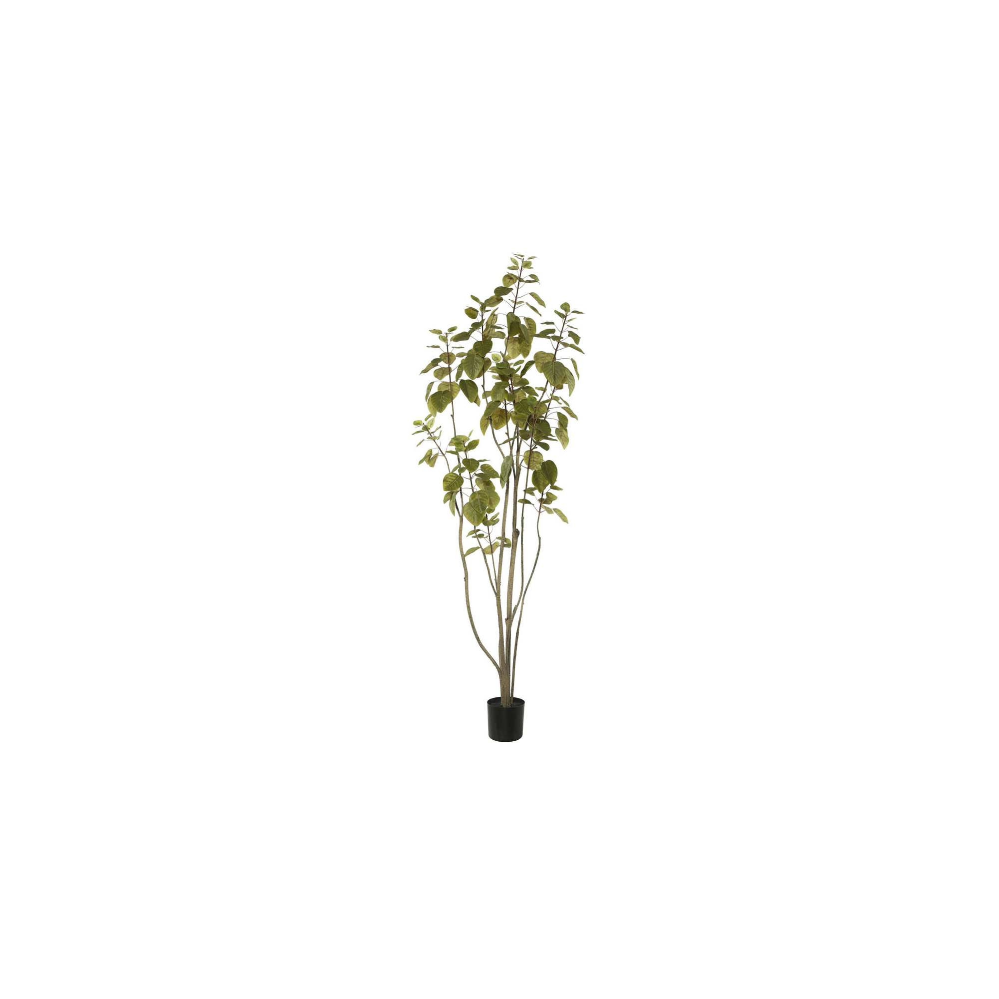 Artificial Green Potted Cotinus Coggygria Tree, 60" H x 22" W x 22" D