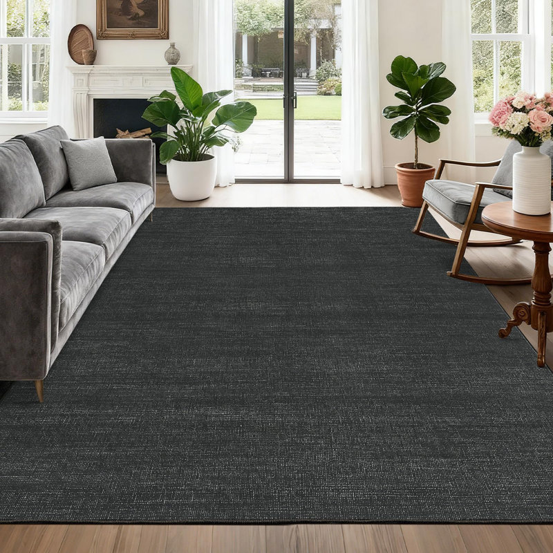 Machine Washable Area Rug for Living Room Modern Solid Color Throw Carpet for Bedroom Dining Room, Rectangle 4' x 6', Black