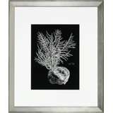 Black And White Coral IV Print