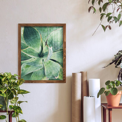 «Green Tropical Succulent I», reproduction de cadre photo simple