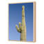 Buckeye, Arizona 7 Print by August Studios