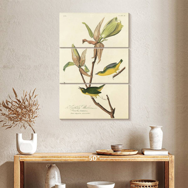 Brampt Kentucky Warbler, 38" H x 24" W