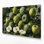 «Fruit Wild Custard Apple», art mural sur toile