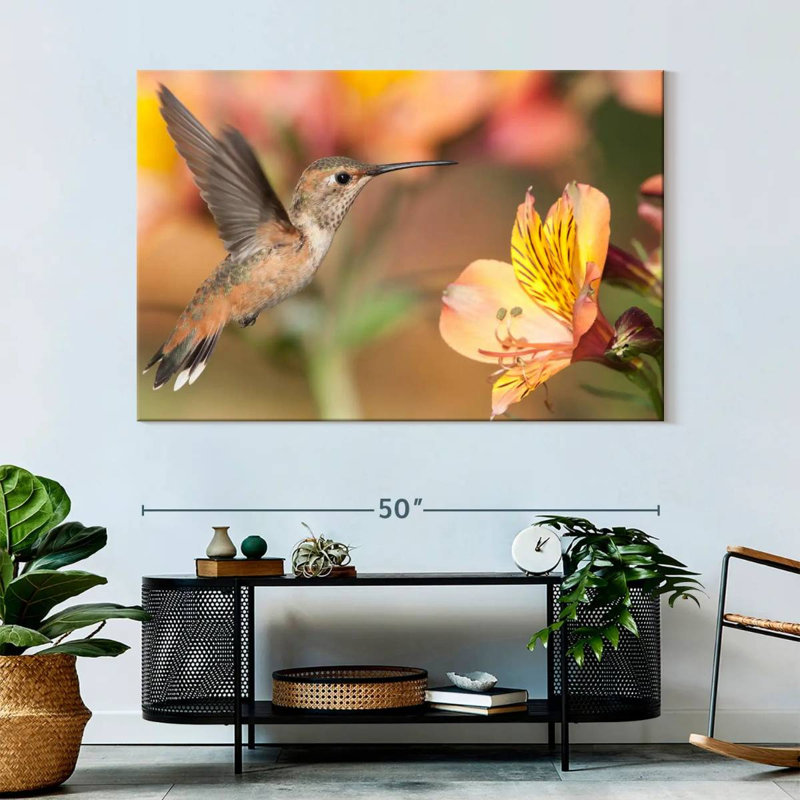 Brampt Charming Hummingbird, 34" H x 51" W