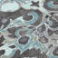 Machine Washable Indoor/Outdoor Xhevrie Teal Rug-1878092275