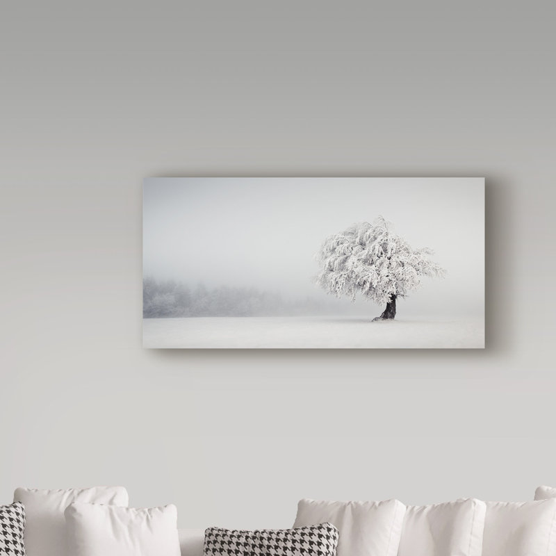 « pure silence », reproduction de photo sur toile tendue, H 10 po x l 19 po x P 2 po
