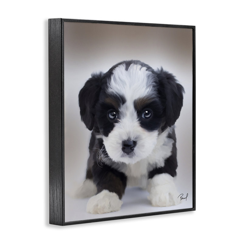 «Fluffy Bernedoodle Puppy», art de la giclée encadrée, design par Renel Peters, H 14 po x l 11 po